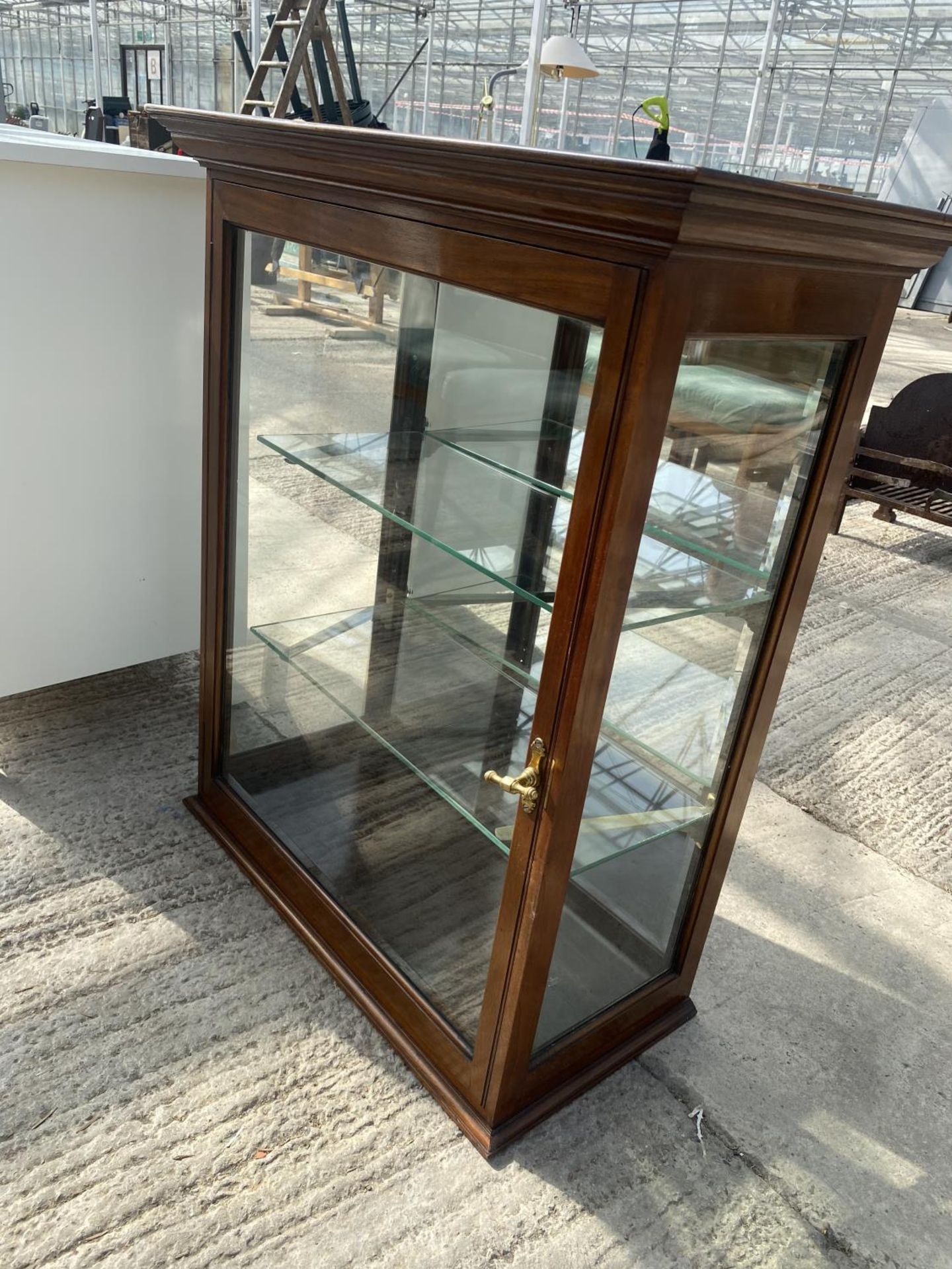 A MAHGOANY COUNTER TOP SHOP DISPLAY CABINET WITH MIRRORED BACK, TWO GLASS SHEVLES AND PATENT BRASS