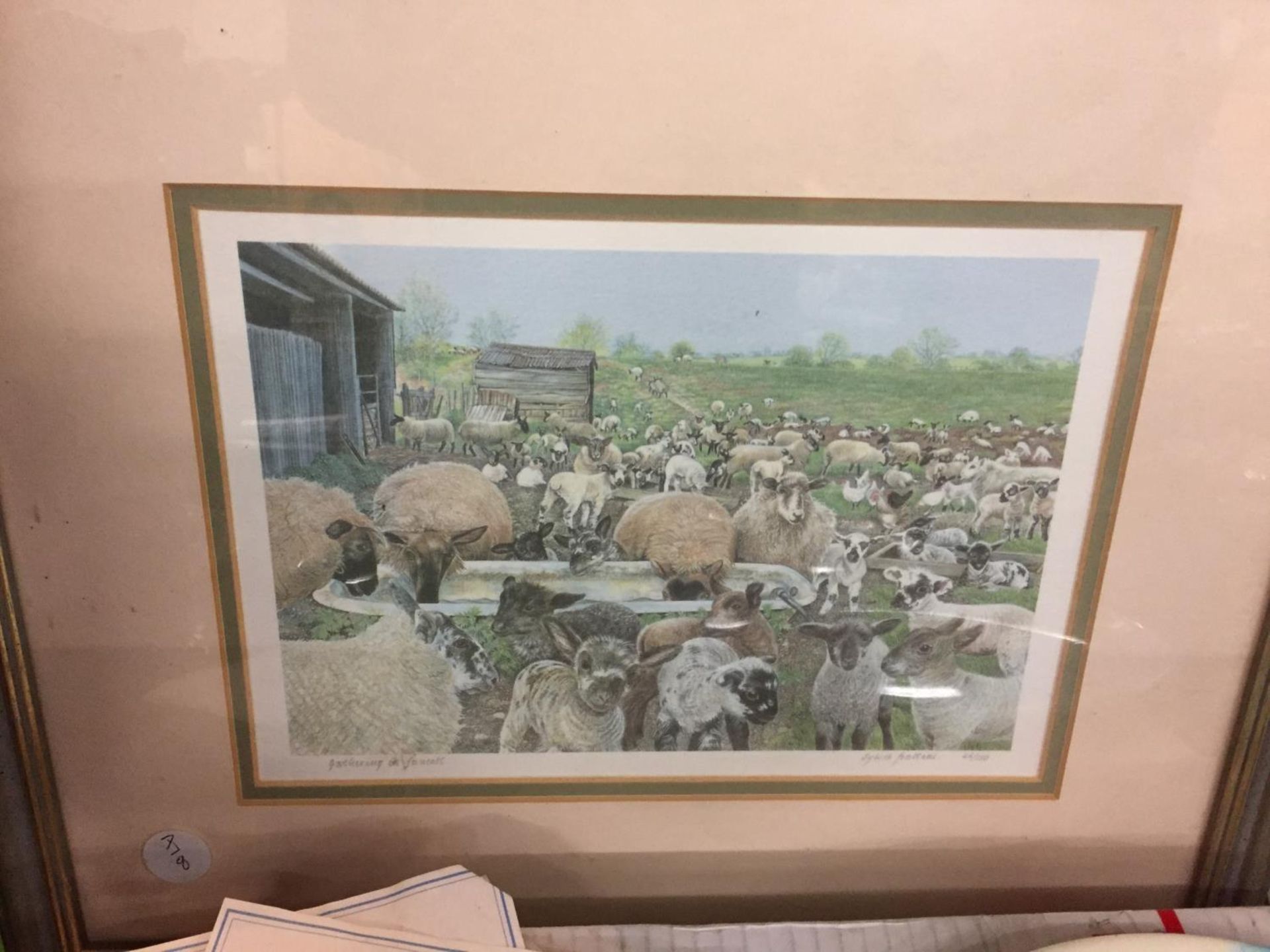 TWO FRAMED PICTURES ONE BEING A SIGNED LIMITED EDITION PRINT OF SHEEP - Image 4 of 5
