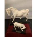 A BESWICK SPIRIT OF FREEDOM HORSE WHITE HORSE ON A WOODEN PLINTH AND A BESWICK WHITE FOAL ON A