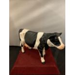 A HEAVY CAST HAND PAINTED BLACK AND WHITE COW DOORSTOP WEIGHING APPROXIMATELY 5 KG H: 20CM