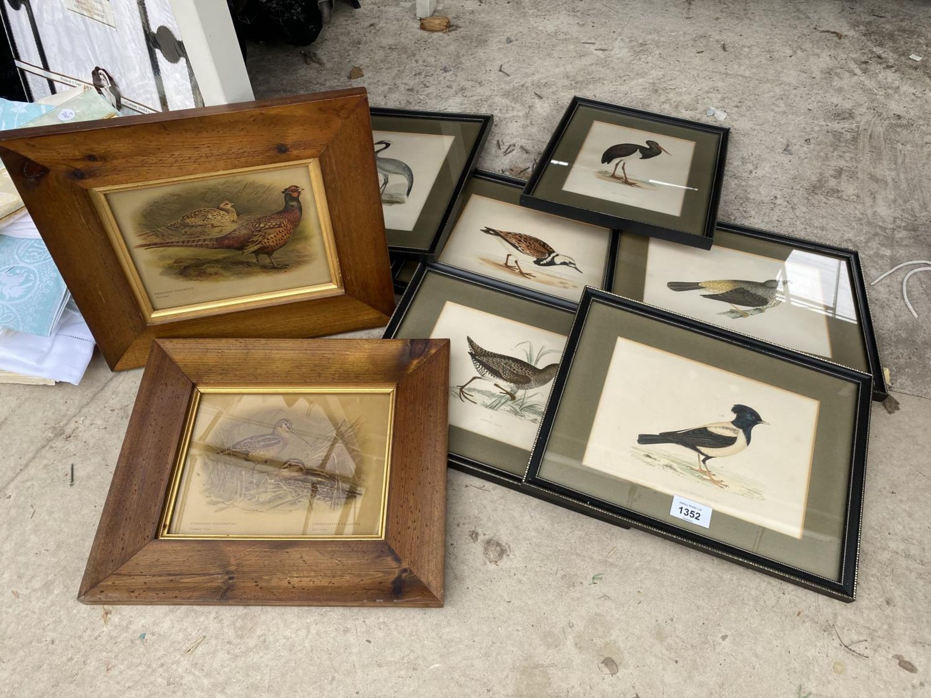 A COLLECTION OF FRAMED PRINTS OF BIRDS