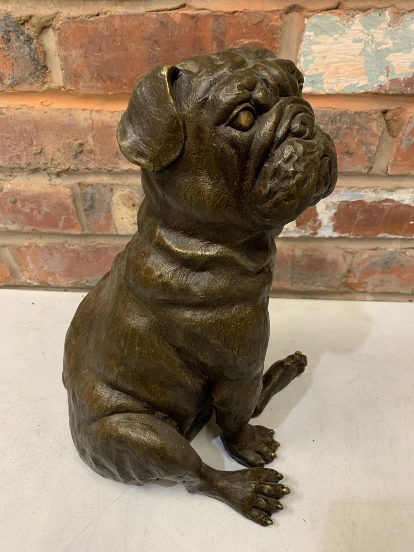 A LARGE BRONZE SCULPTURE OF A PUG SEATED - H:35CM - Image 4 of 6