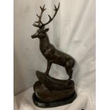 A LARGE BRONZE STAG MOUNTED ON A MARBLE BASE SIGNED J MOIGNIEZ H: 68.5CM