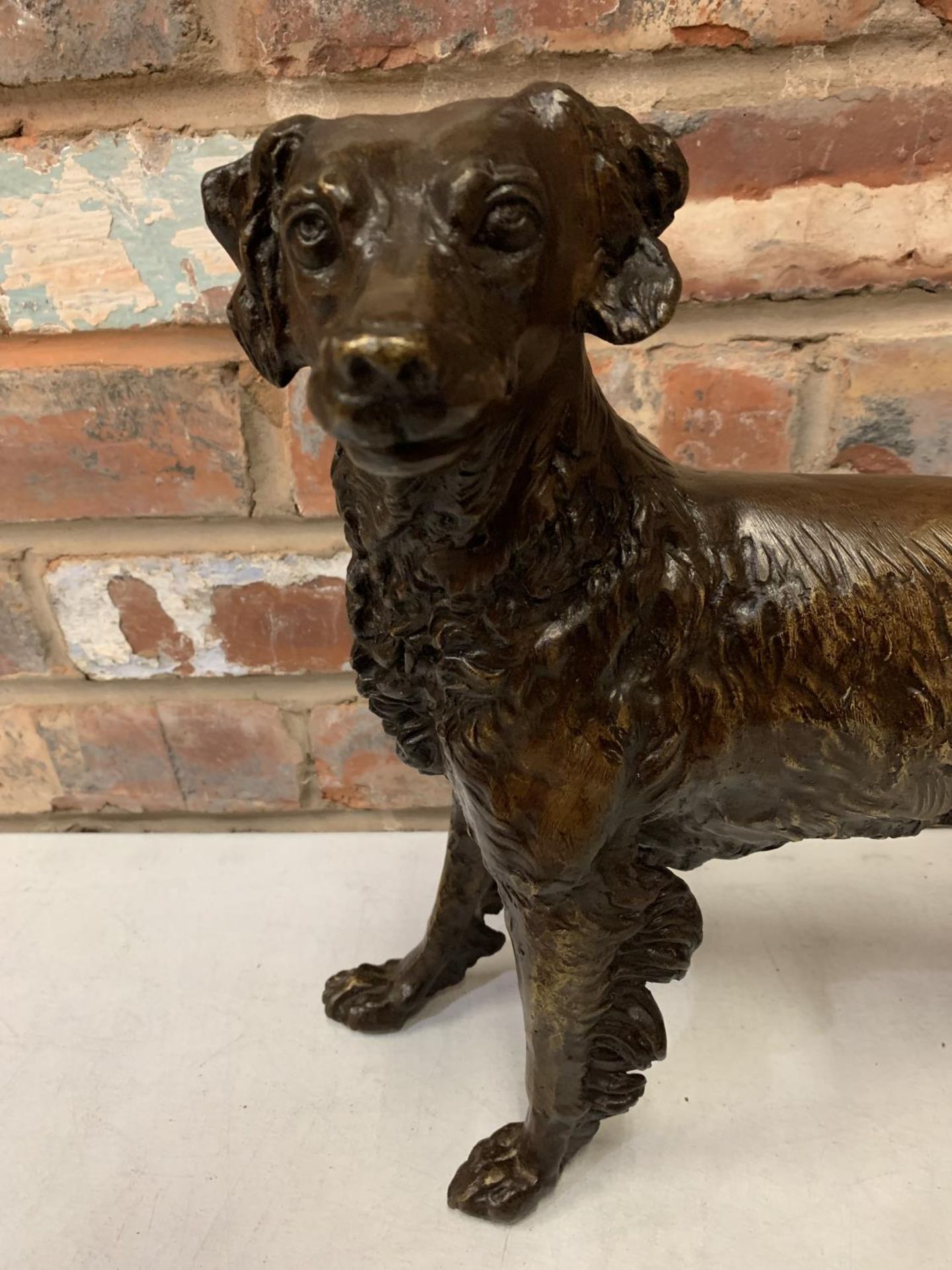 A LARGE BRONZE SCULPTURE OF A GUN DOG - H:36CM - Image 2 of 7