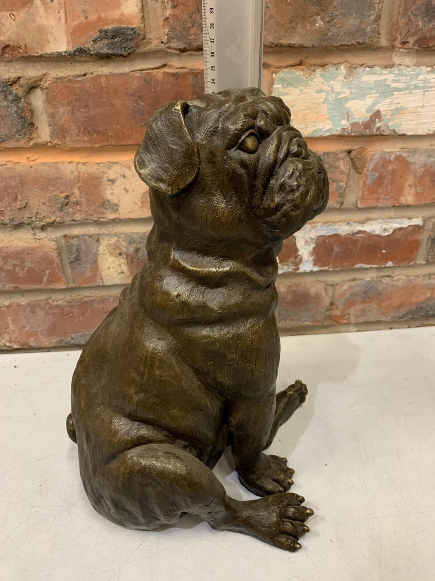 A LARGE BRONZE SCULPTURE OF A PUG SEATED - H:35CM - Image 5 of 6