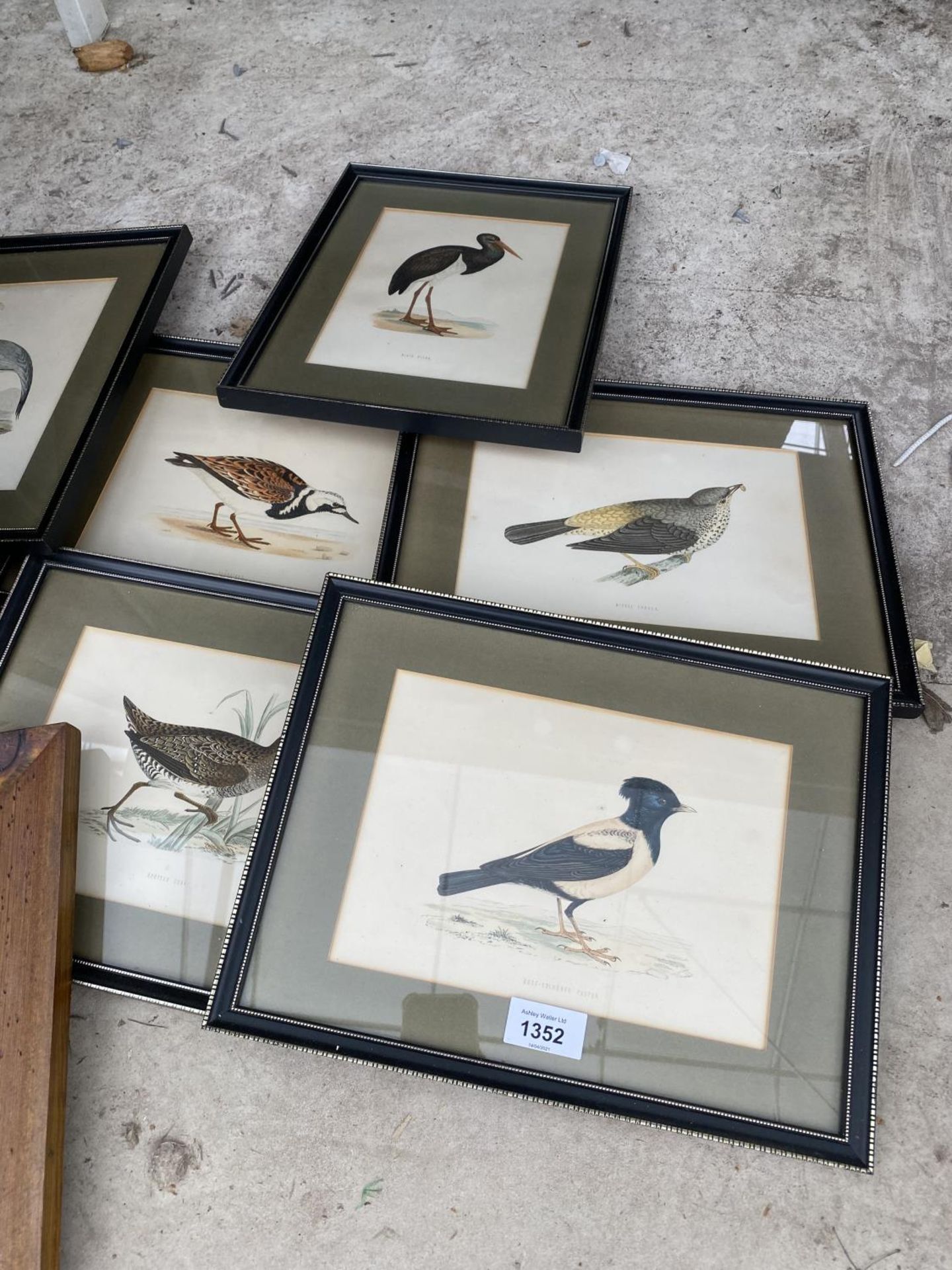 A COLLECTION OF FRAMED PRINTS OF BIRDS - Image 2 of 4