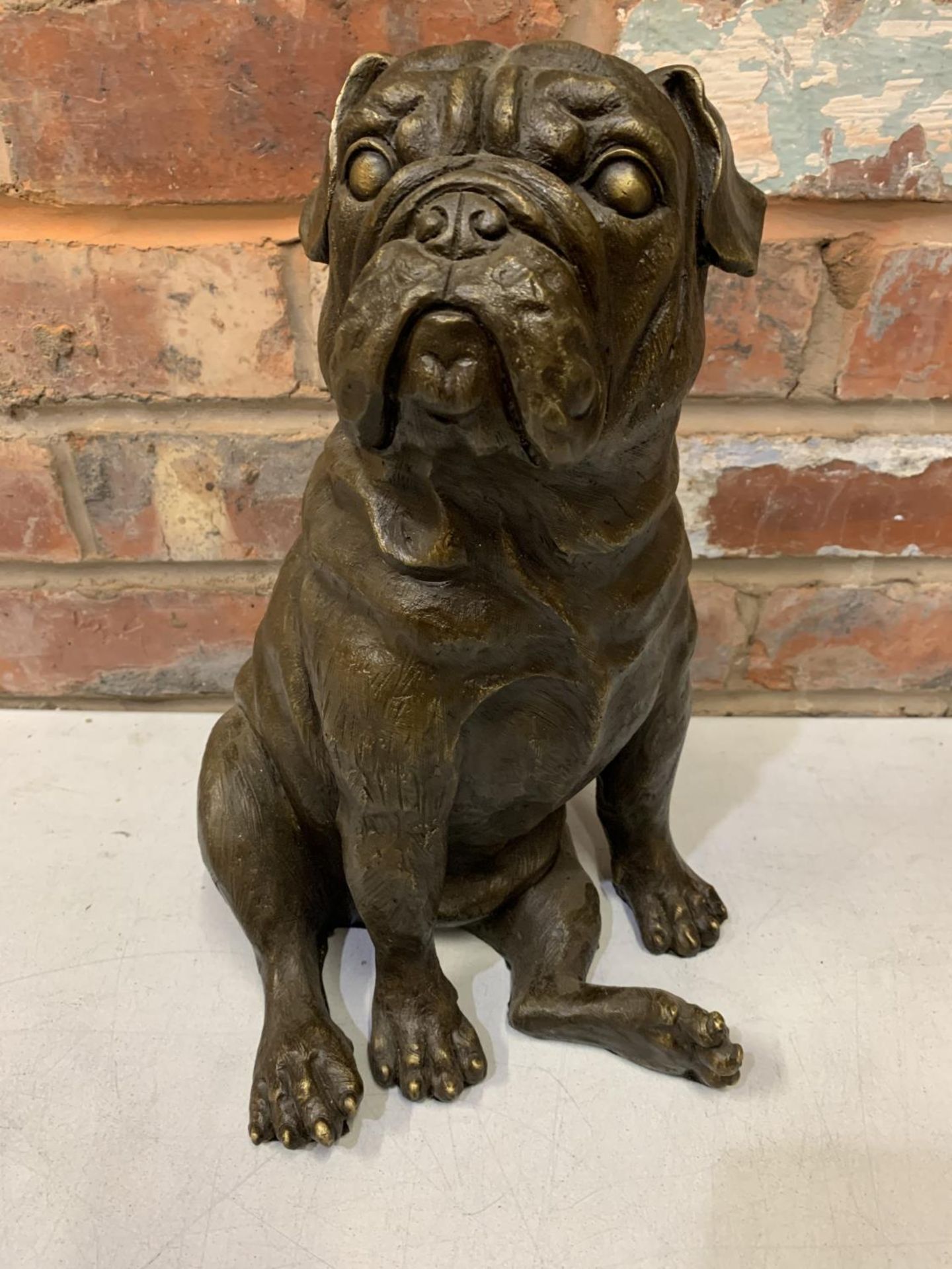 A LARGE BRONZE SCULPTURE OF A PUG SEATED - H:35CM