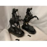 A PAIR OF SPELTER FIGURES OF MARLY HORSES REARING, WITH HANDLER ON WOODEN BASES A/F