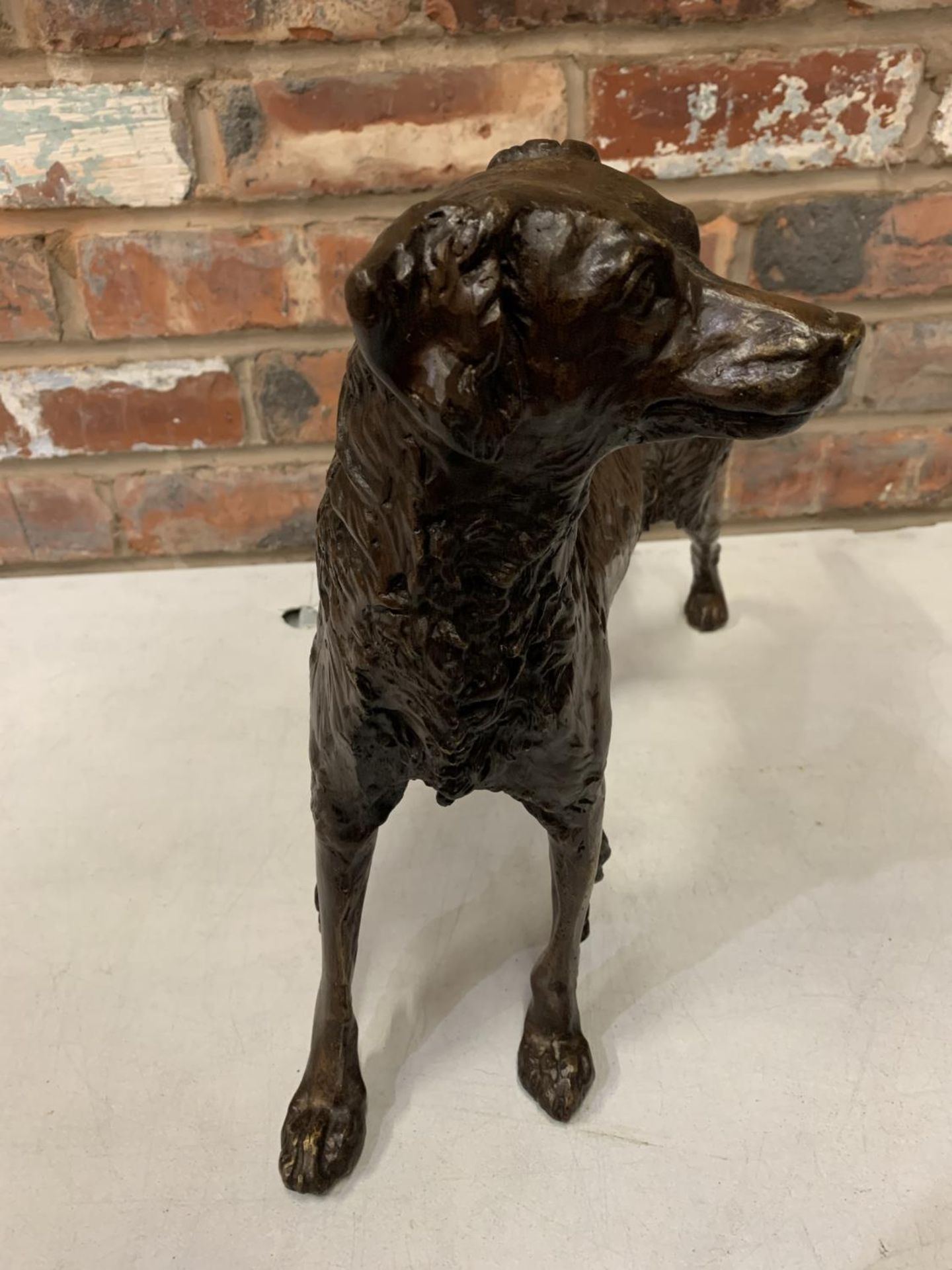 A LARGE BRONZE SCULPTURE OF A GUN DOG - H:36CM - Image 3 of 7