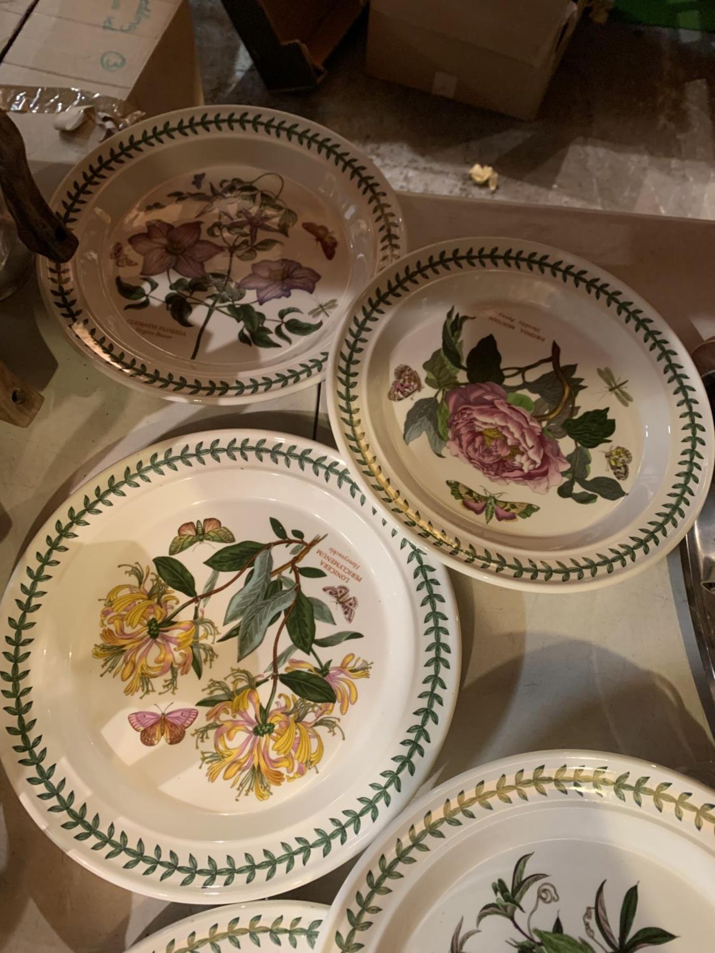 SIX PORTMEIRION 'BOTANICAL GARDEN' DINNER PLATES - Image 2 of 4