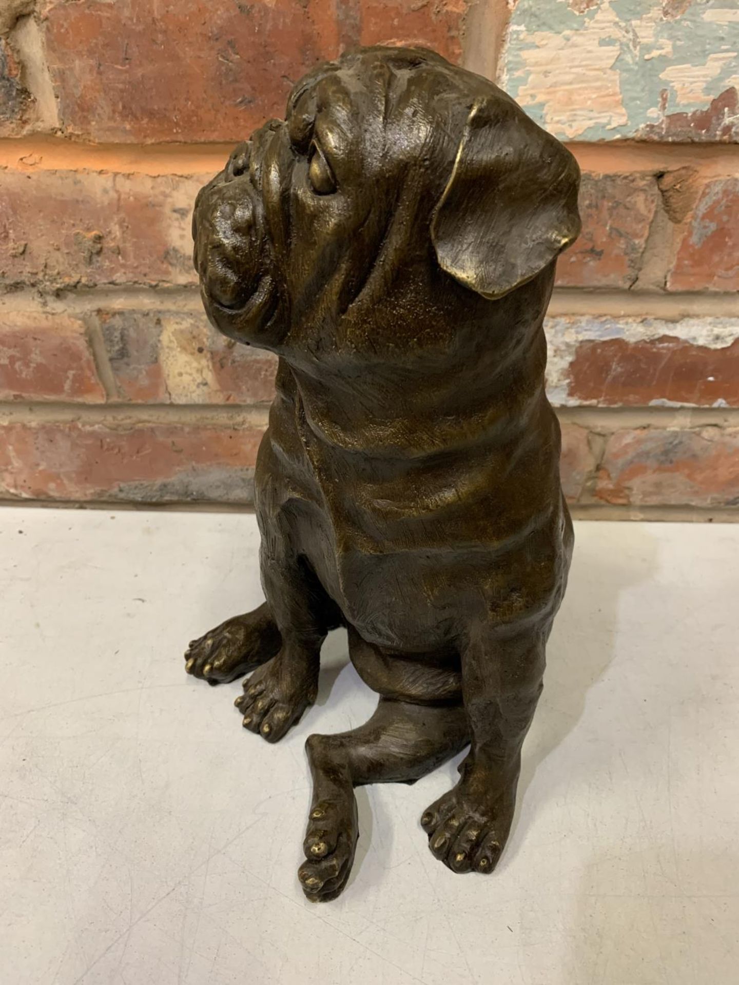 A LARGE BRONZE SCULPTURE OF A PUG SEATED - H:35CM - Image 2 of 6