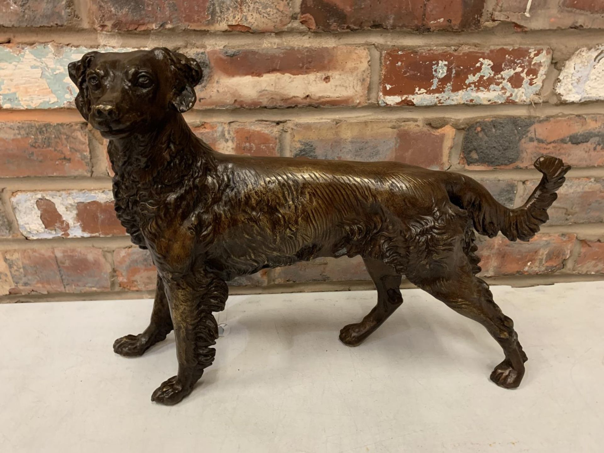 A LARGE BRONZE SCULPTURE OF A GUN DOG - H:36CM