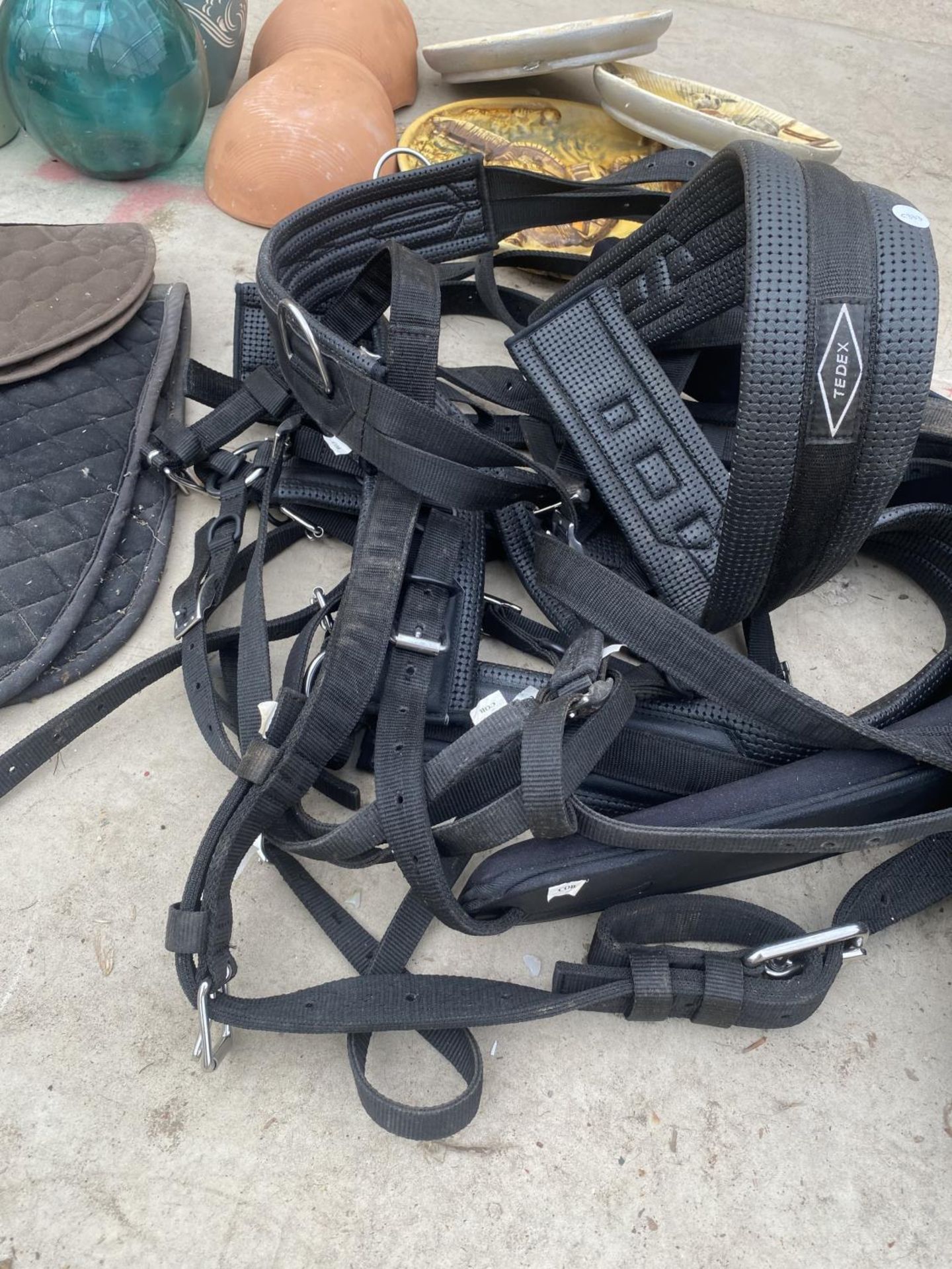 AN ASSORTMENT OF HORSE TACK TO INCLUDE A NEW HARNESSES ETC - Image 4 of 5