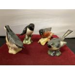 FOUR BESWICK BIRDS: A BULLFINCH, A STONECHAT, A GREY WAGTAIL AND A NUTHATCH