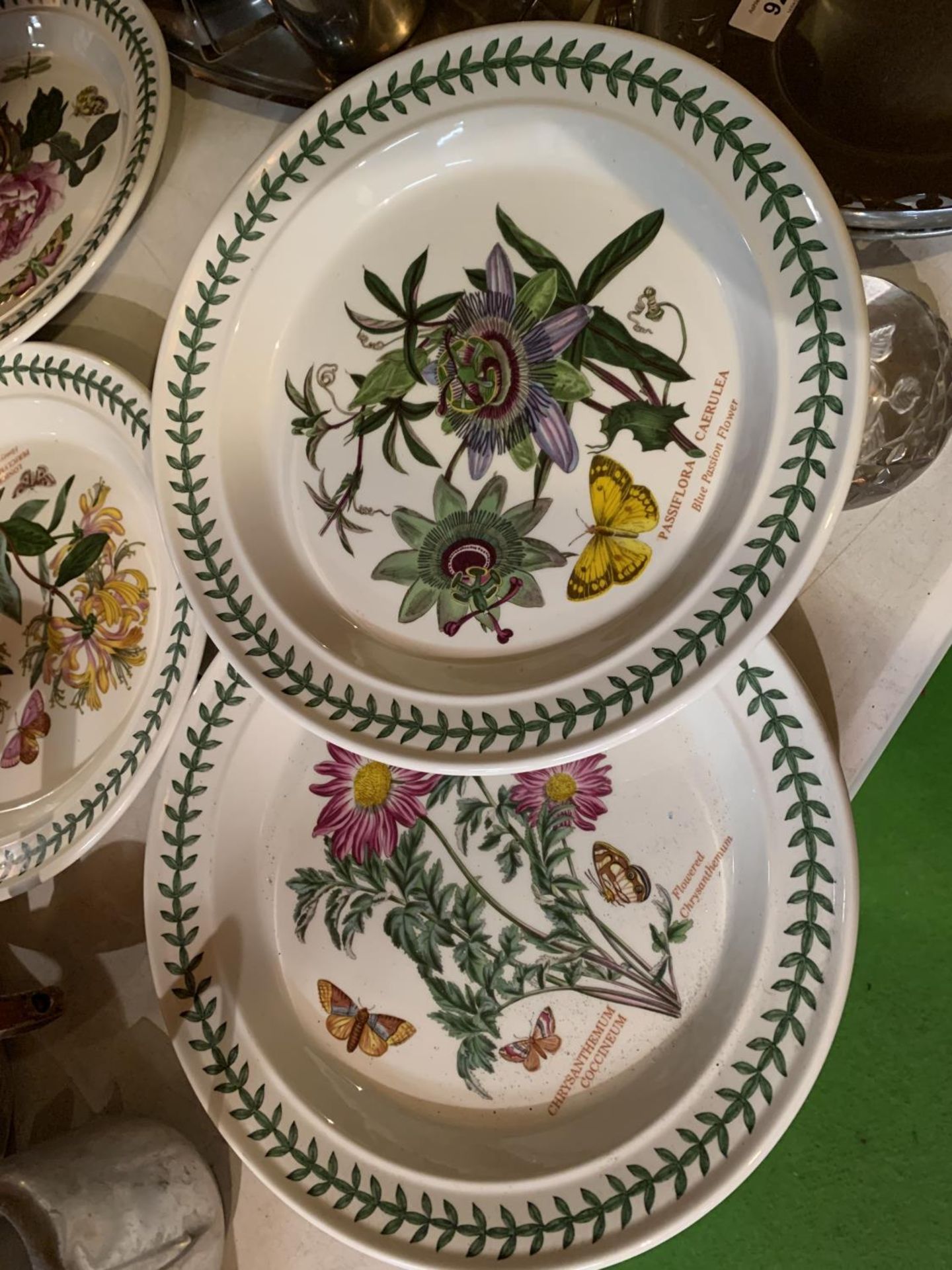 SIX PORTMEIRION 'BOTANICAL GARDEN' DINNER PLATES - Image 3 of 4