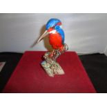 AN ANITA HARRIS WOODPECKER HANDPAINTED AND SIGNED IN GOLD