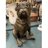 A LARGE BRONZE SCULPTURE OF A PUG SEATED - H:35CM