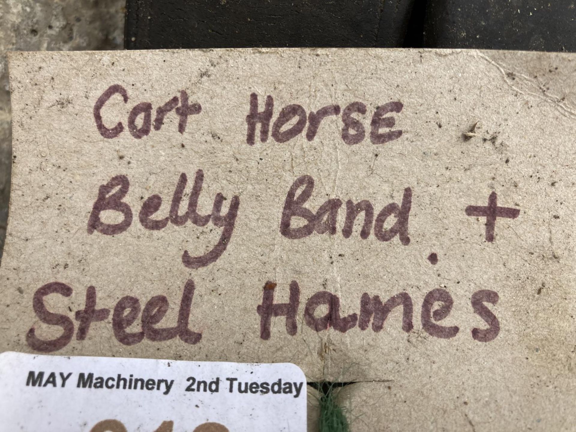 A CART HORSE BELLY BAND AND STEEL HAMES NO VAT - Image 2 of 2