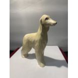 AN ANITA HARRIS HANDPAINTED DOG AFGHAN HOUND SIGNED IN GOLD