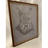 A FRAMED PRINT DEPICTING A LYNX BY JOAN BENCHE