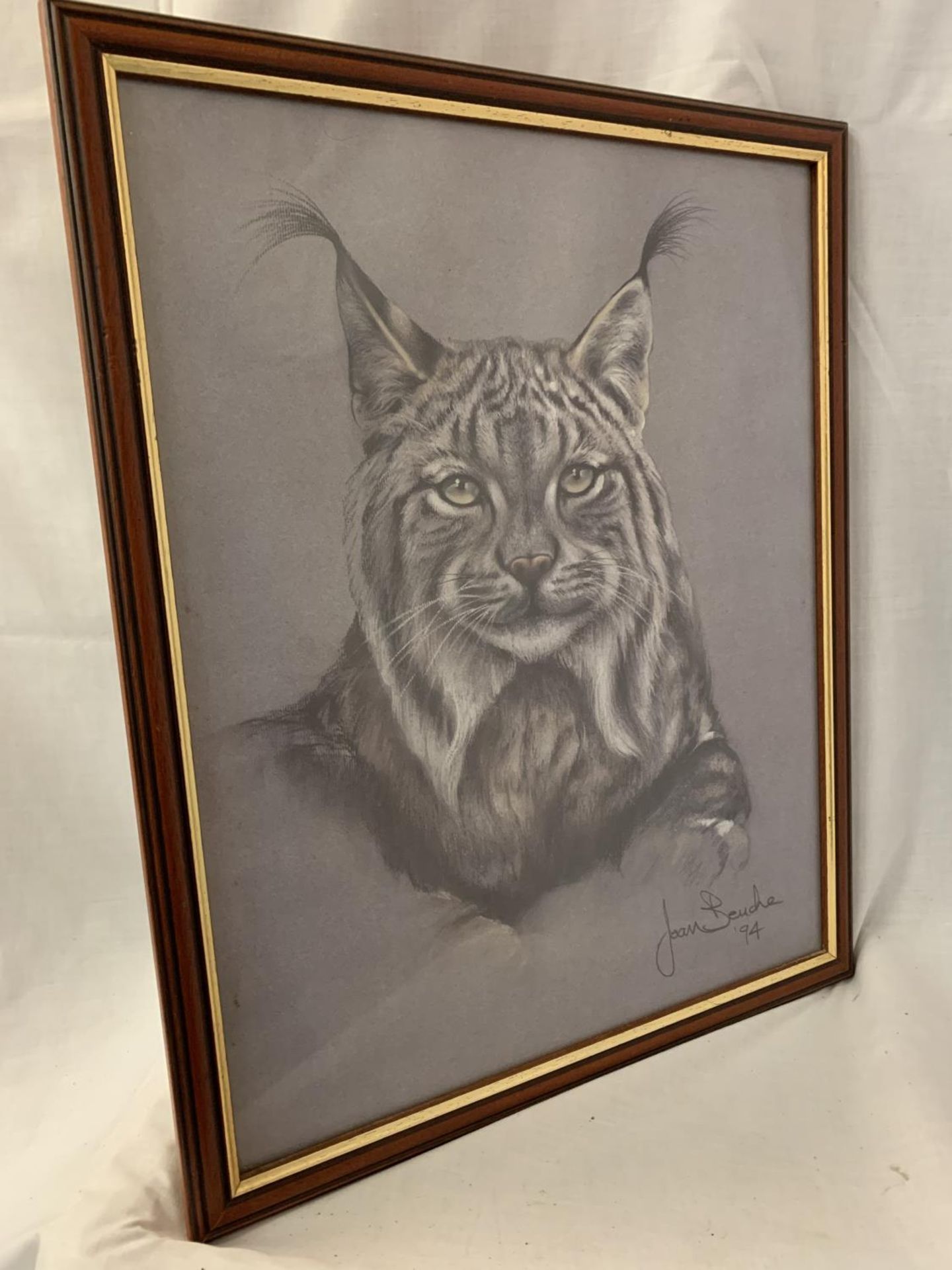 A FRAMED PRINT DEPICTING A LYNX BY JOAN BENCHE