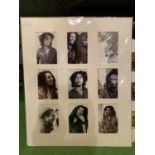 A SET OF BOB MARLEY PICTURES IN A MOUNT