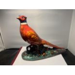 A VERY LARGE ANITA HARRIS PHEASANT HANDPAINTED AND SIGNED IN GOLD