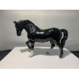 A BESWICK STOCK JOGGING MARE BLACK GLOSS BCC2005 SPECIAL EDITION