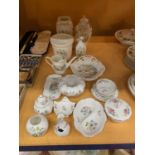 A LARGE COLLECTION OF AYNSLEY CERAMICS TO INCLUDE THE DESIGNS 'WILD TUDOR' AND 'HOWARD SPRAYS'