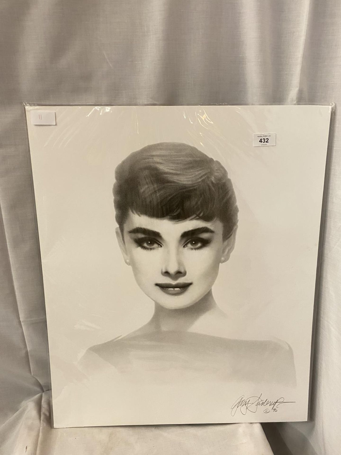 A BLACK AND WHITE SKETCH STYLE PICTURE OF AUDREY HEPBURN