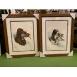 TWO FRAMED PRINTS OF GUN DOGS BY RIAL