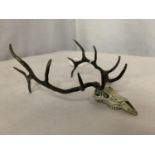A SIGNED FRED BOYER ELK'S HEAD H: 15CM