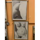 TWO FRAMED EROTIC DRAWINGS SIGNED ALEY EASTIRE