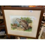 A FRAMED WATERCOLOUR OF AN OWL WITH CHICK