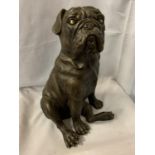 A LARGE BRONZE SCULPTURE OF A PUG SEATED - H:35CM