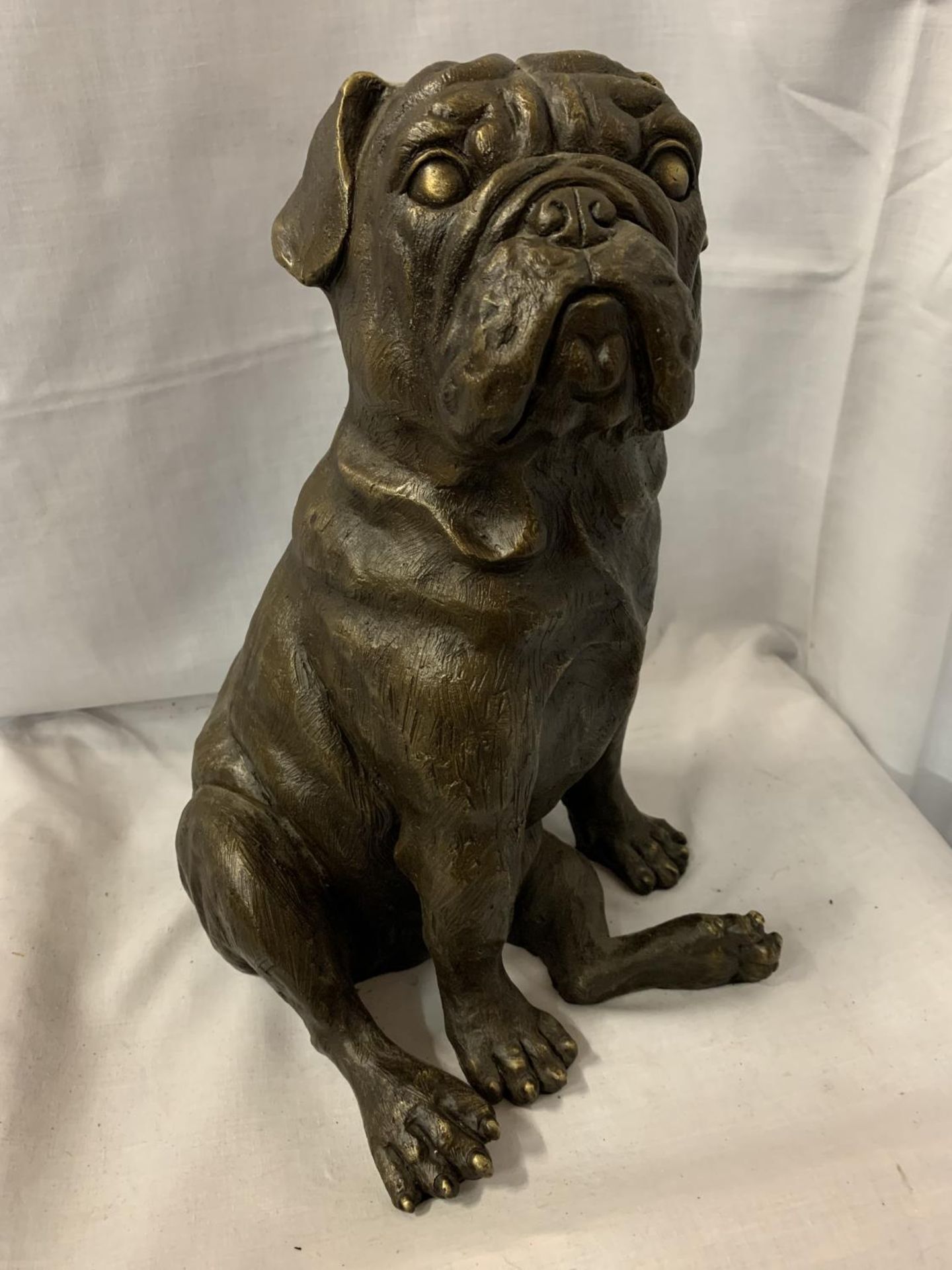 A LARGE BRONZE SCULPTURE OF A PUG SEATED - H:35CM