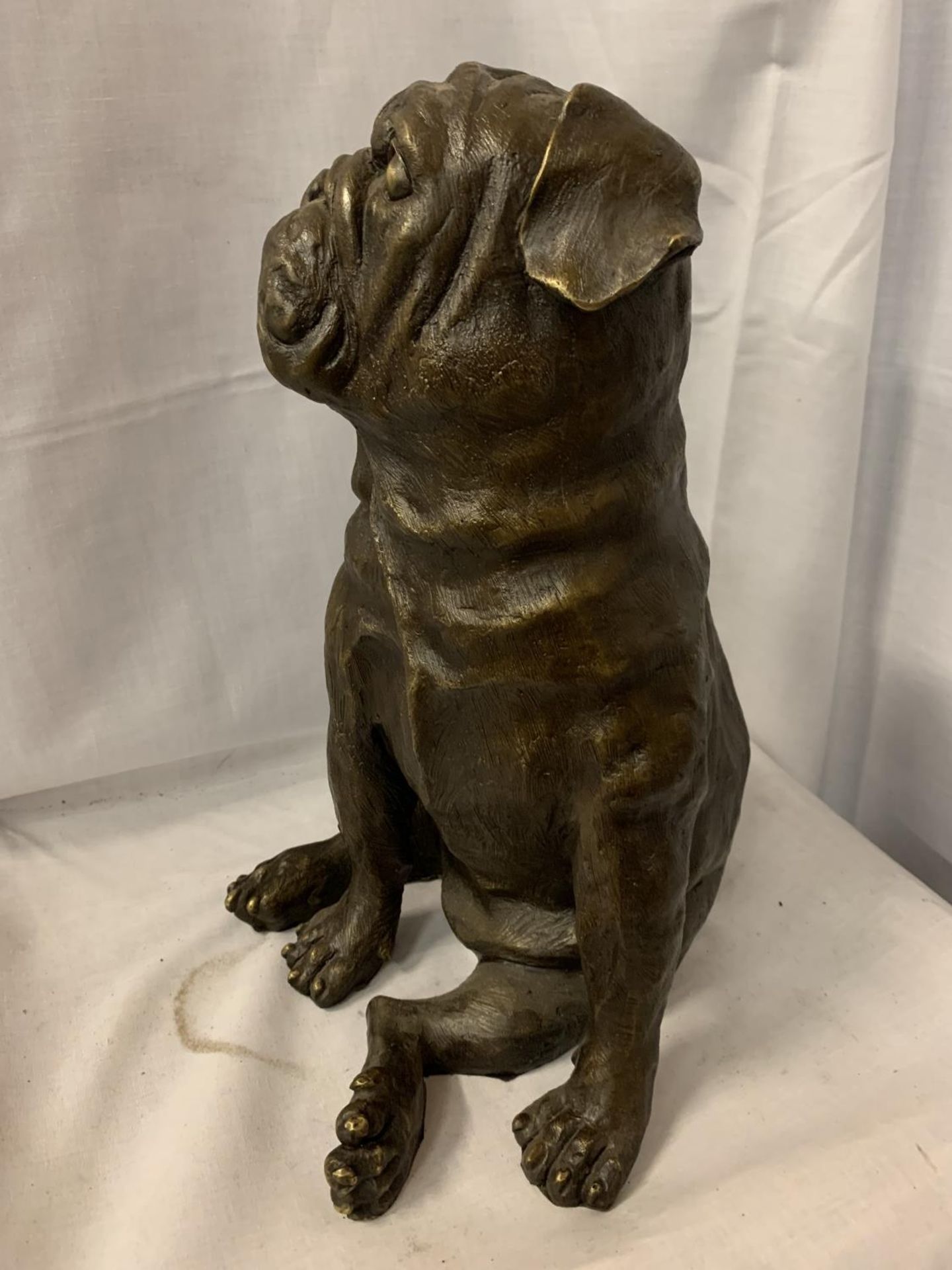 A LARGE BRONZE SCULPTURE OF A PUG SEATED - H:35CM - Image 3 of 3
