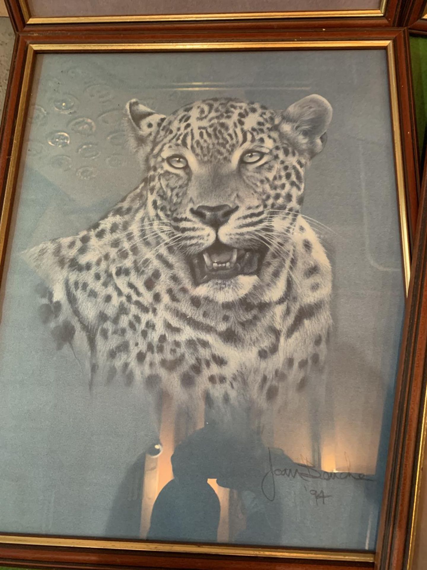 FOUR FRAMED PRINTS OF TIGERS AND LEOPARDS BY JOAN BENCHES (ONE WITH GLASS A/F) - Image 4 of 5