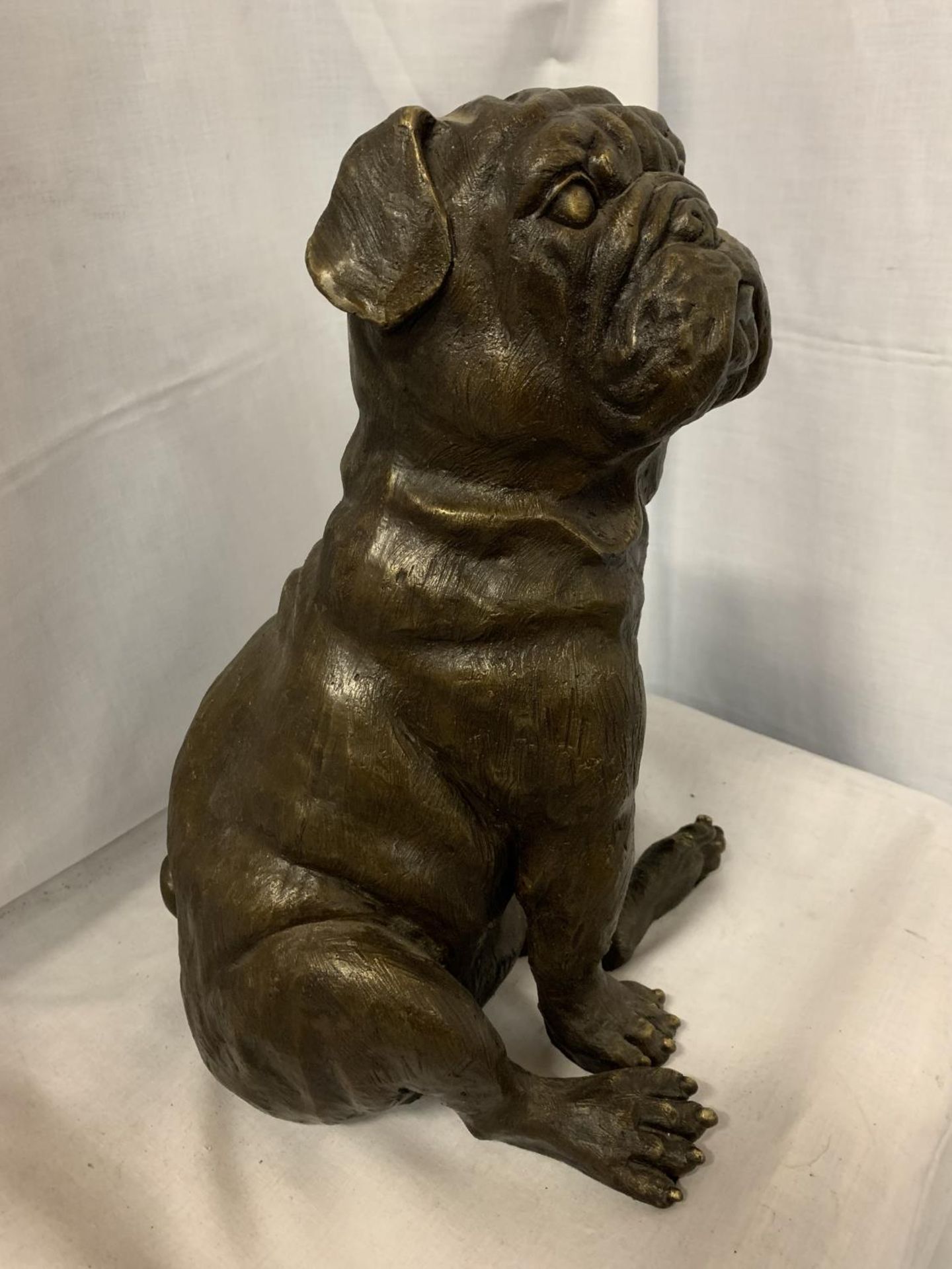 A LARGE BRONZE SCULPTURE OF A PUG SEATED - H:35CM - Image 2 of 3