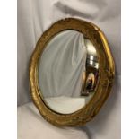 A GILT FRAMED CIRCULAR MIRROR