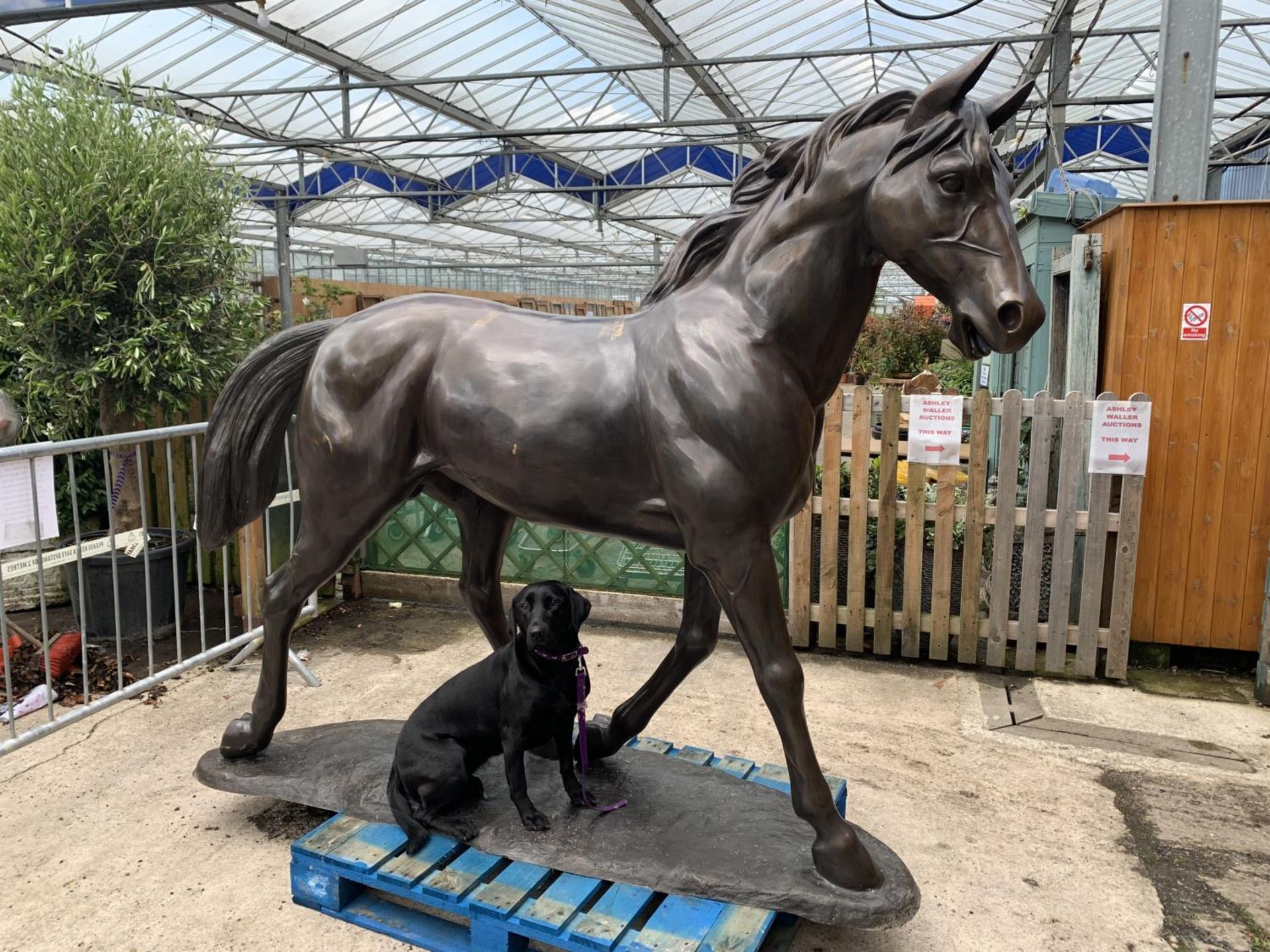 A LIFE-SIZE BRONZE HORSE FIGURE STANDING AT 13 HANDS HIGH - Image 4 of 8