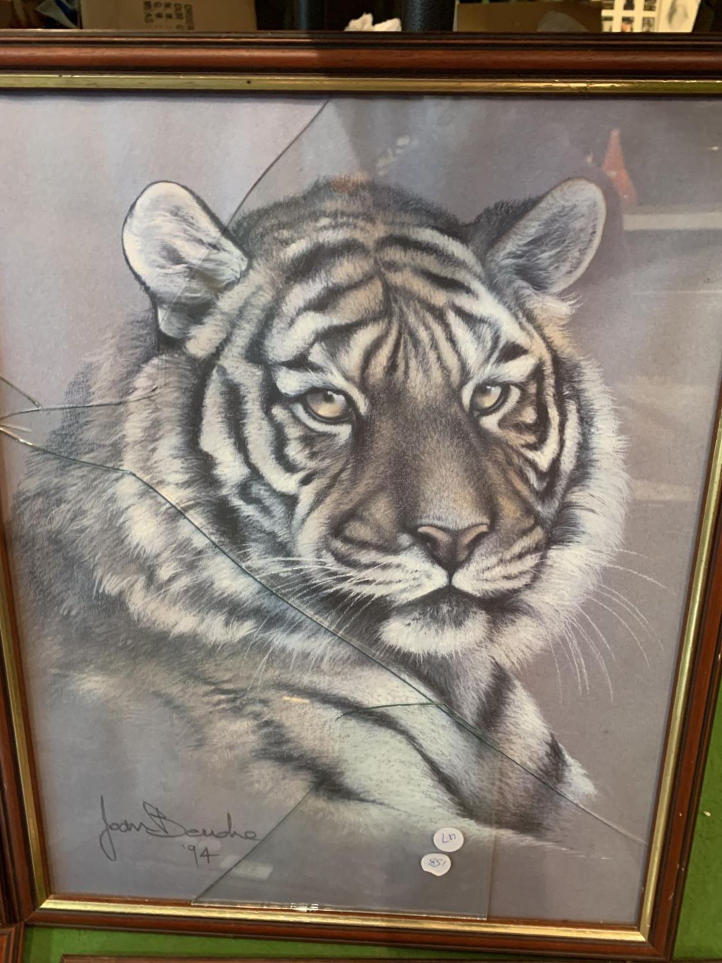 FOUR FRAMED PRINTS OF TIGERS AND LEOPARDS BY JOAN BENCHES (ONE WITH GLASS A/F) - Image 2 of 5