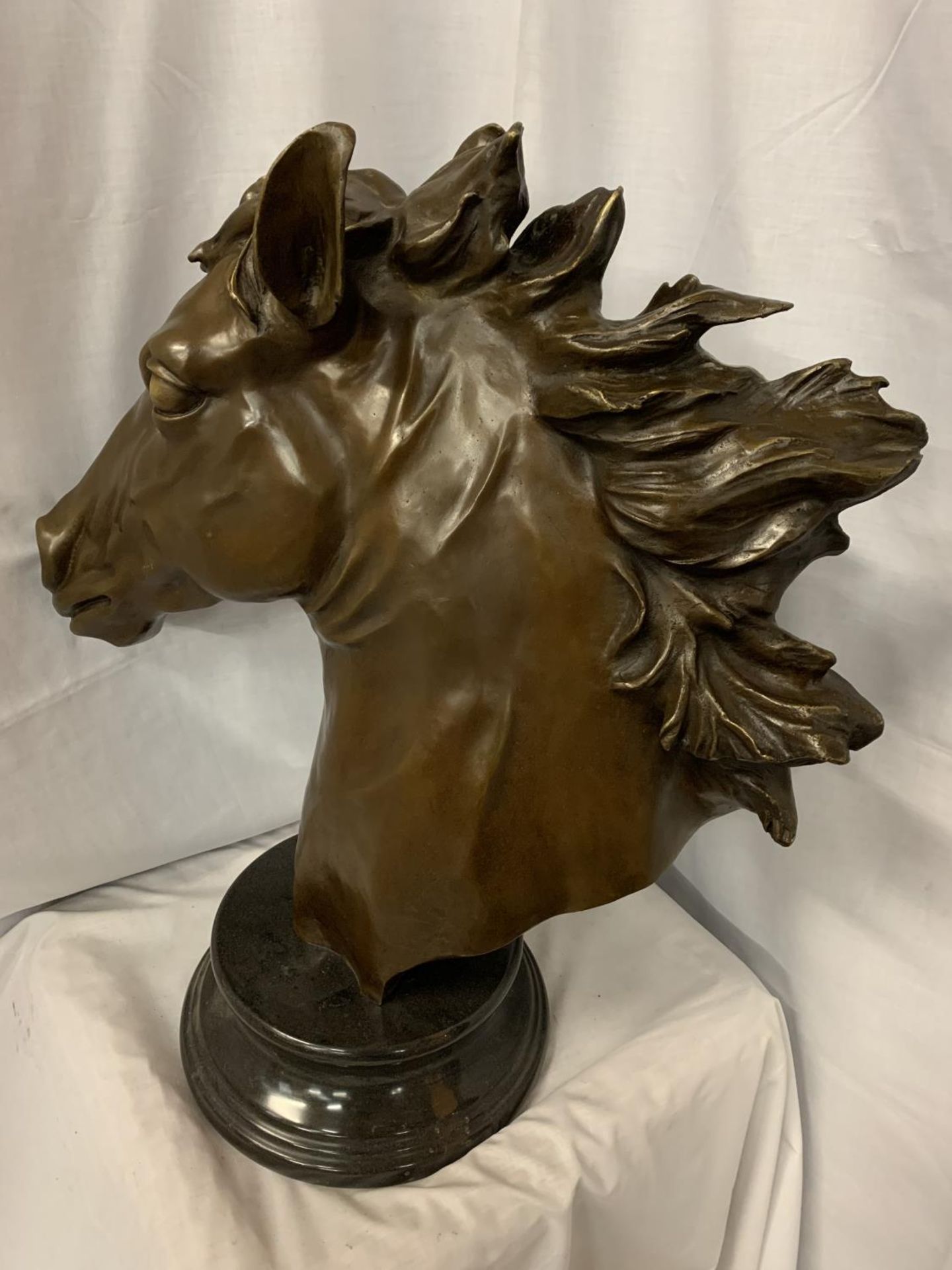 A LARGE BRONZE HORSE HEAD BUST H: 24 INCHES - Image 3 of 3