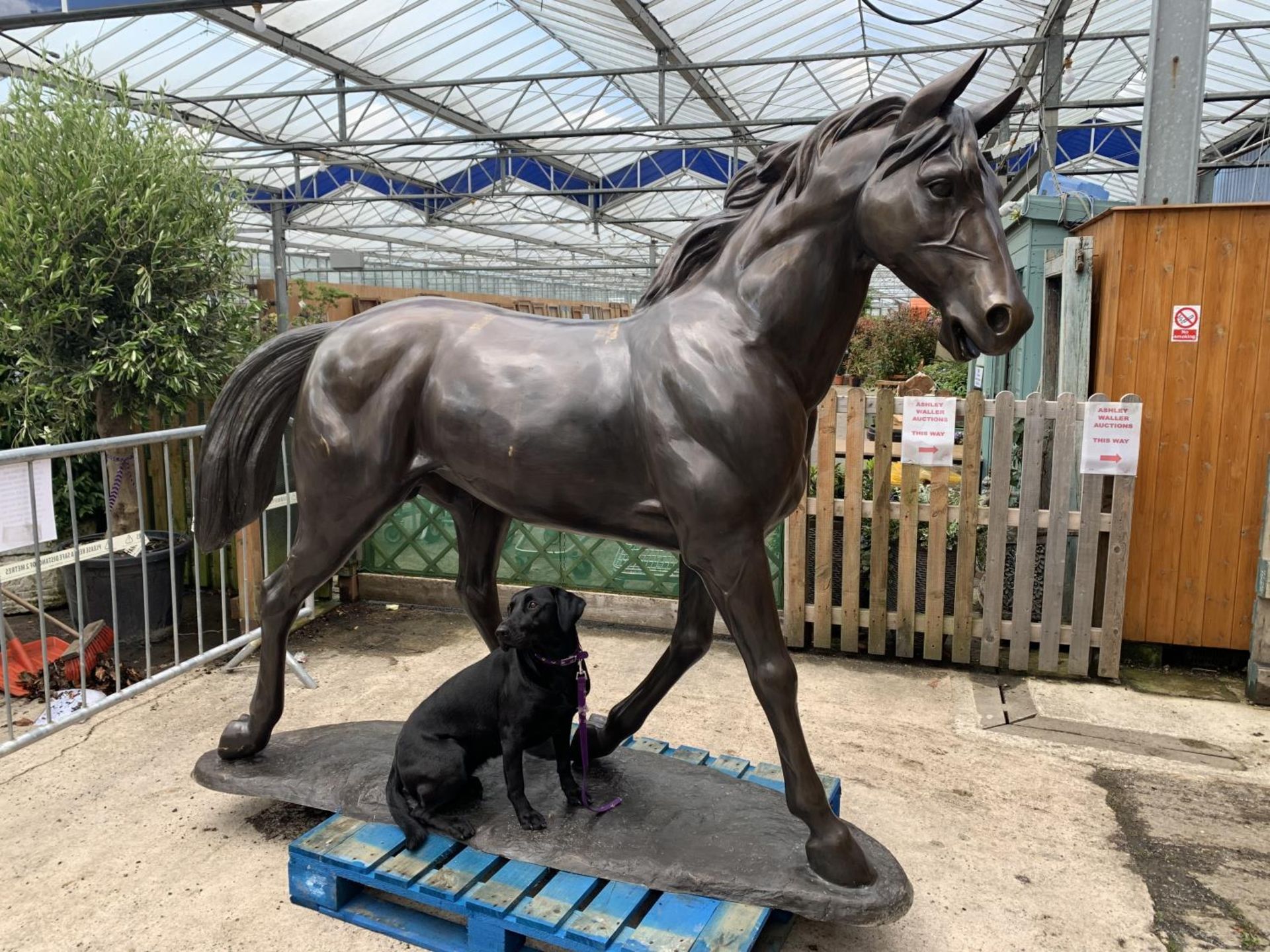 A LIFE-SIZE BRONZE HORSE FIGURE STANDING AT 13 HANDS HIGH - Image 3 of 8