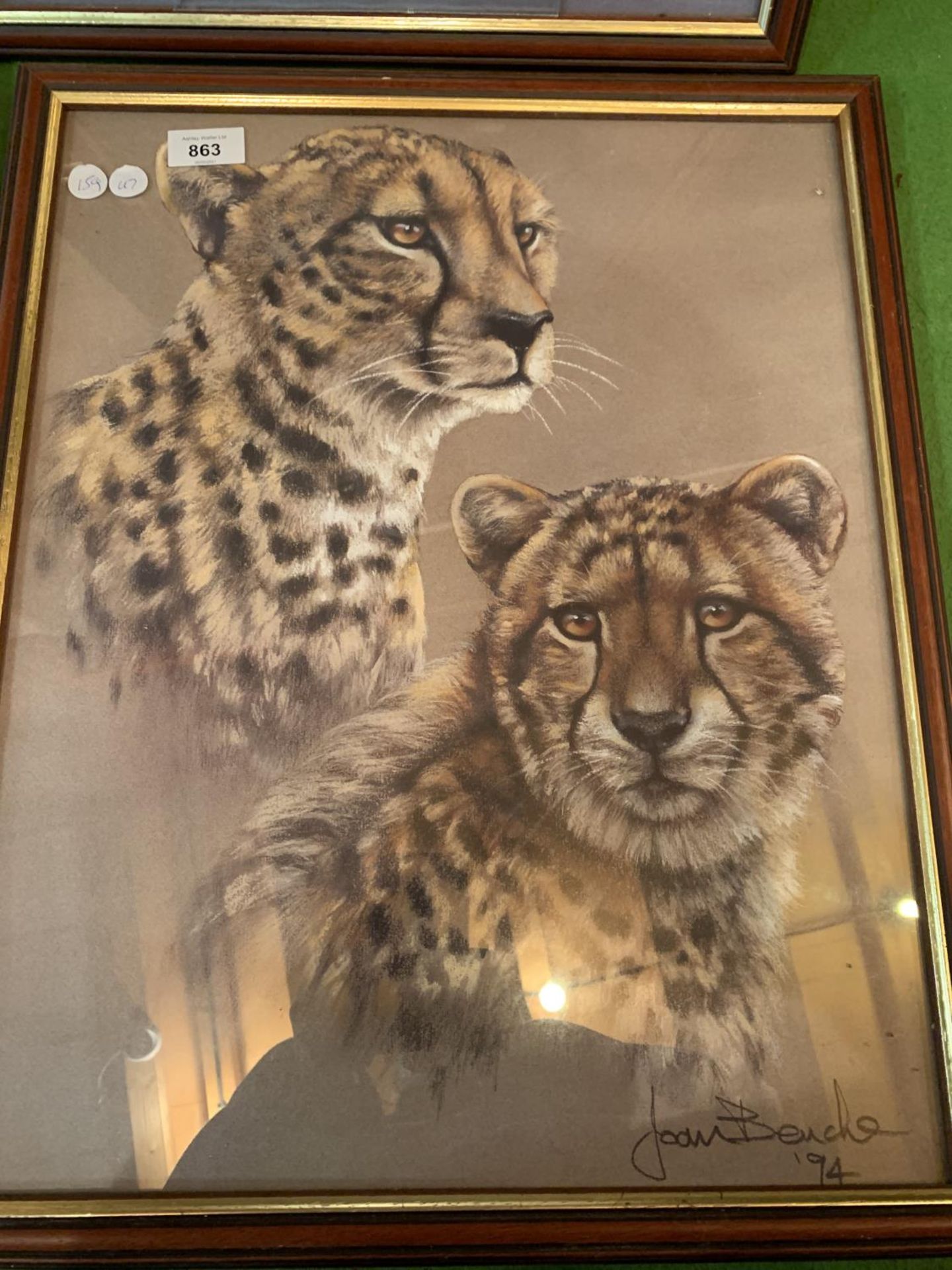 FOUR FRAMED PRINTS OF TIGERS AND LEOPARDS BY JOAN BENCHES (ONE WITH GLASS A/F) - Image 3 of 5