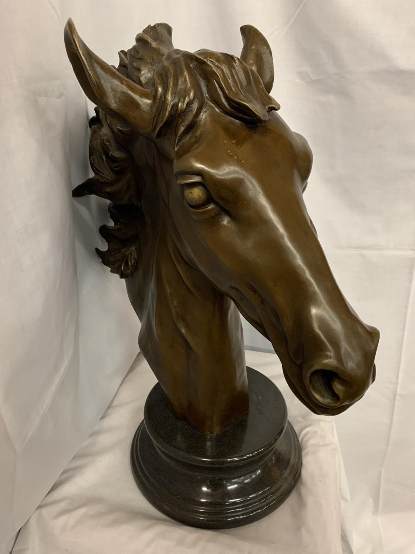 A LARGE BRONZE HORSE HEAD BUST H: 24 INCHES - Image 2 of 3