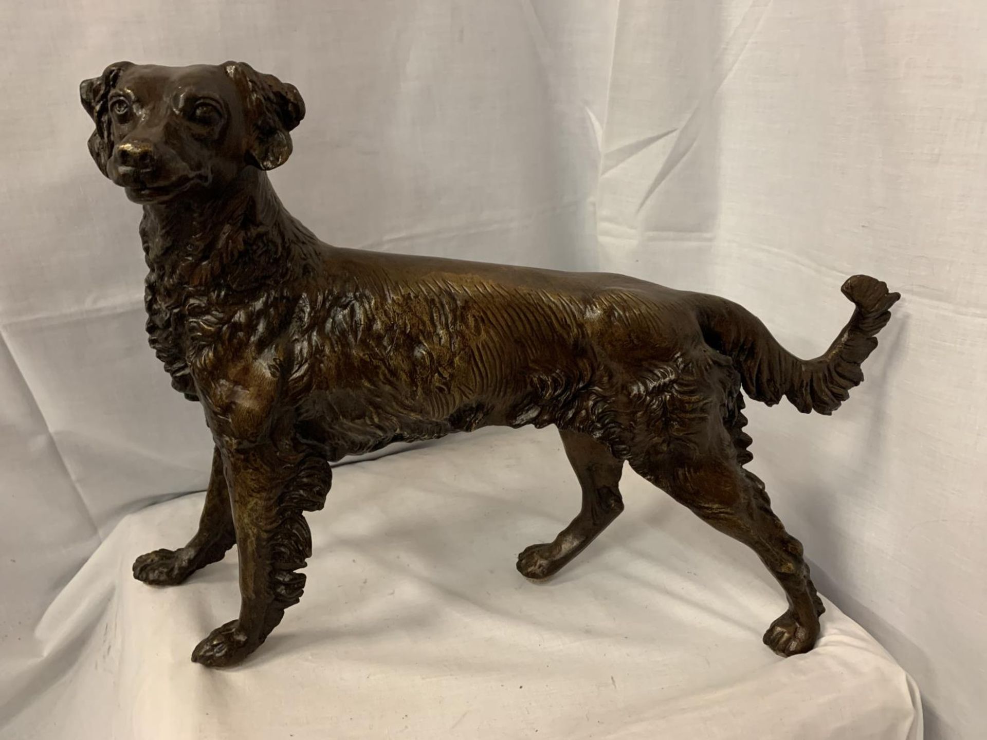 A LARGE BRONZE SCULPTURE OF A GUN DOG - H:36CM