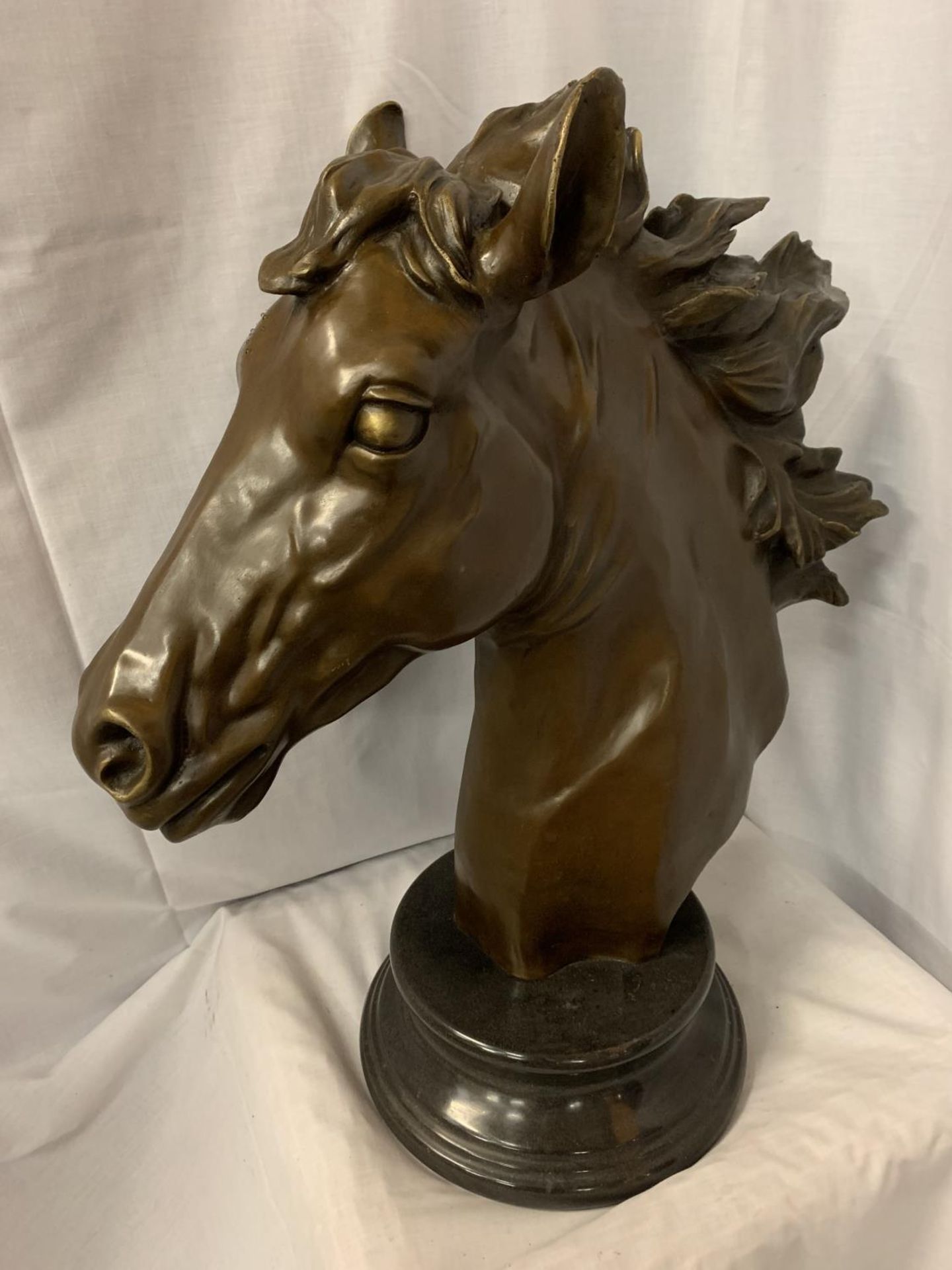 A LARGE BRONZE HORSE HEAD BUST H: 24 INCHES