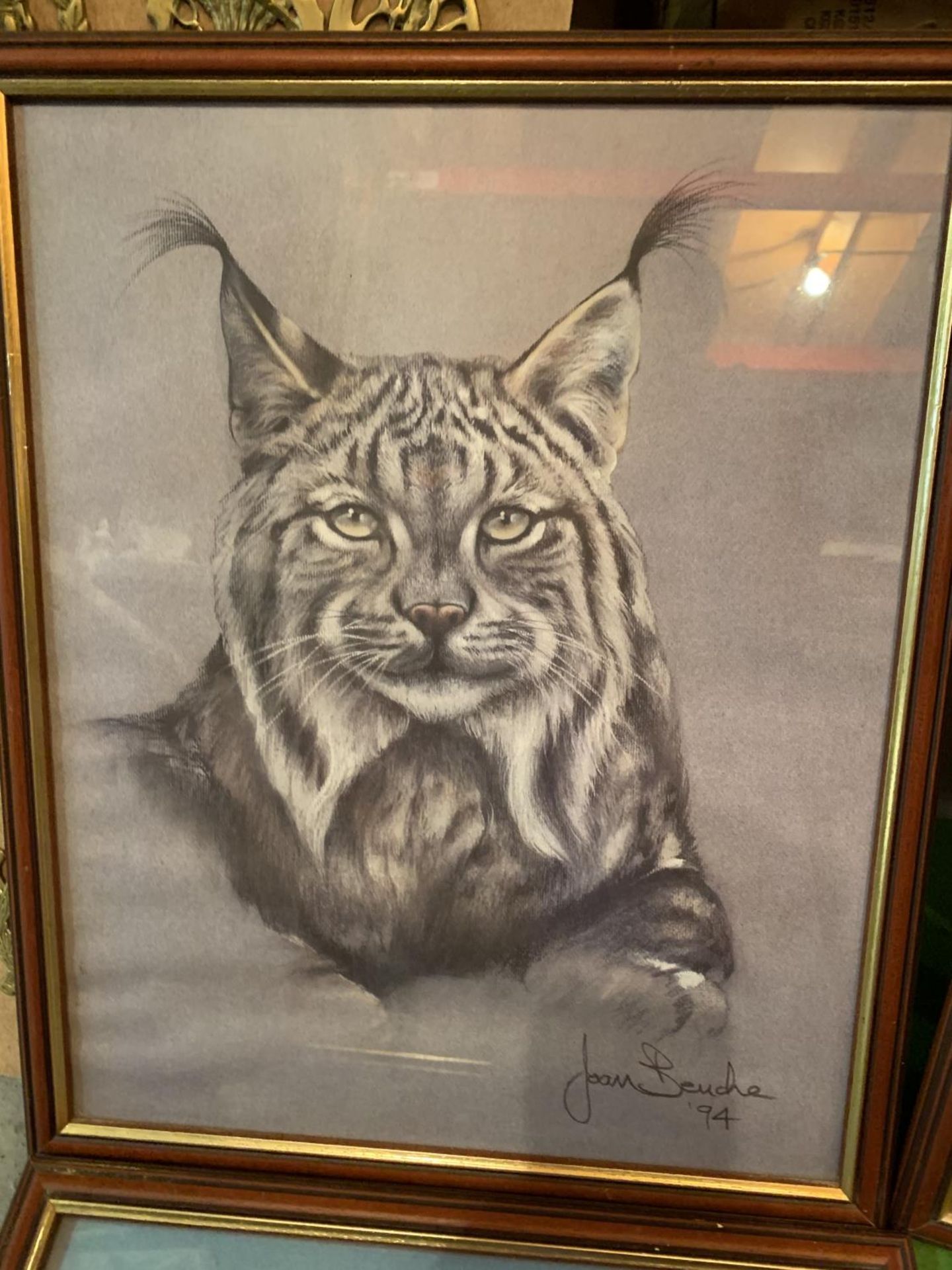 FOUR FRAMED PRINTS OF TIGERS AND LEOPARDS BY JOAN BENCHES (ONE WITH GLASS A/F) - Image 5 of 5