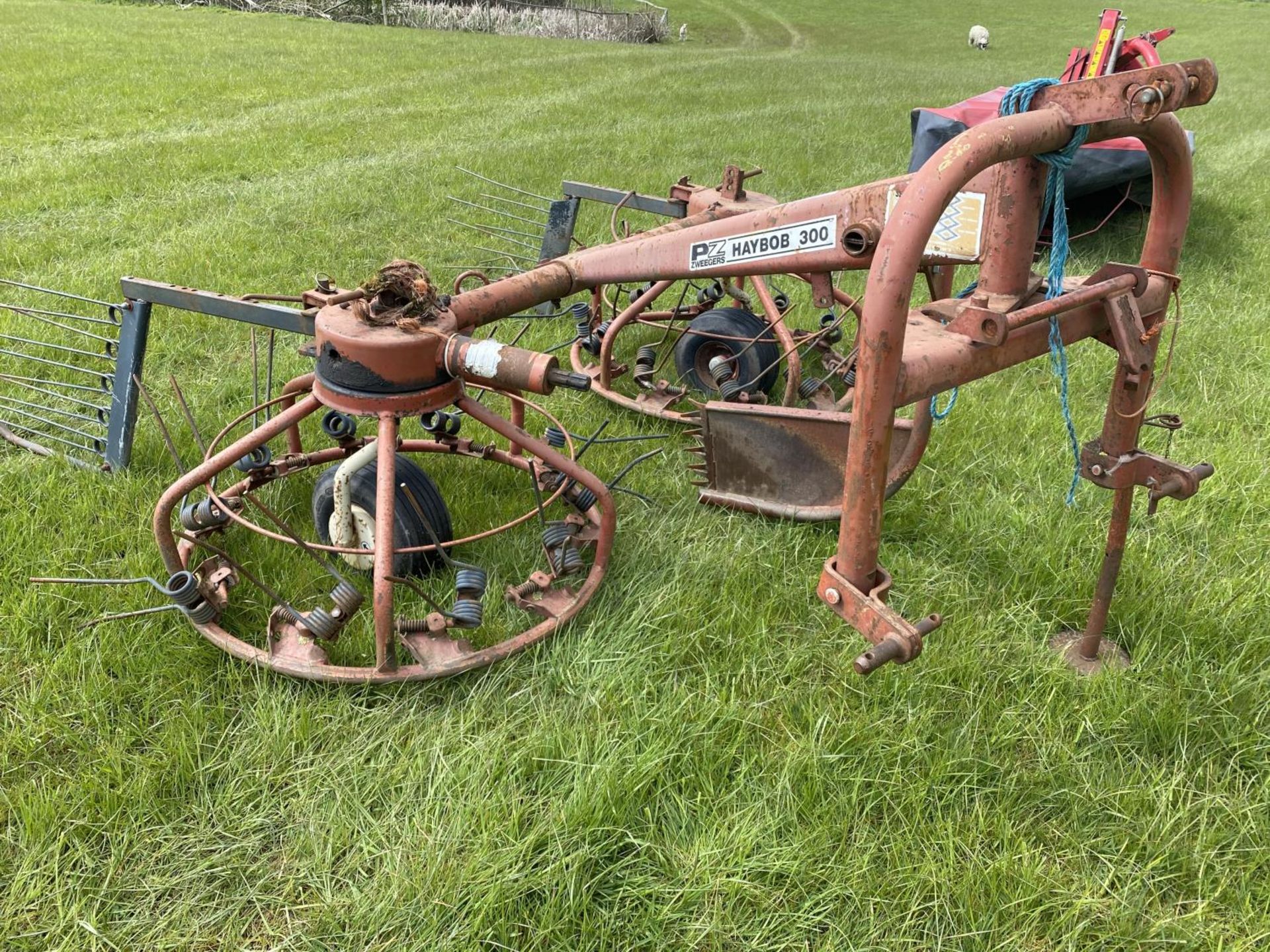 LELY STABILO HAY MAKER (4 ROW) - Image 3 of 3